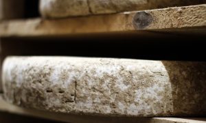 fromages de cocagne grossiste fromage affinage article